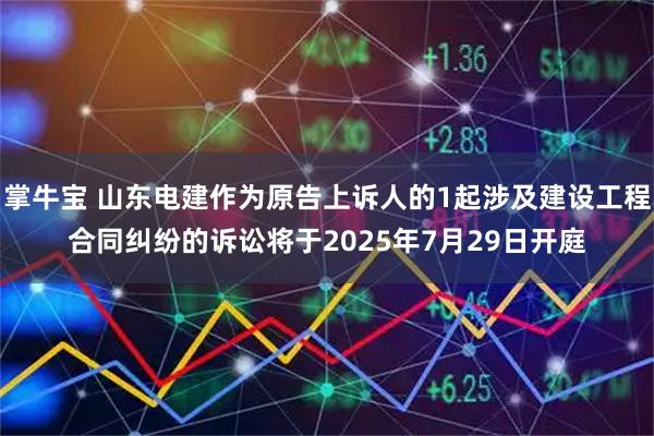 掌牛宝 山东电建作为原告上诉人的1起涉及建设工程合同纠纷的诉讼将于2025年7月29日开庭