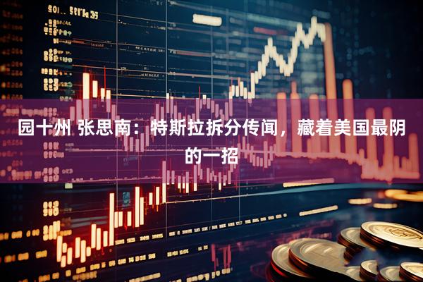 园十州 张思南：特斯拉拆分传闻，藏着美国最阴的一招