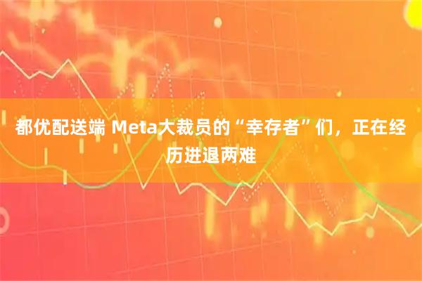 都优配送端 Meta大裁员的“幸存者”们，正在经历进退两难